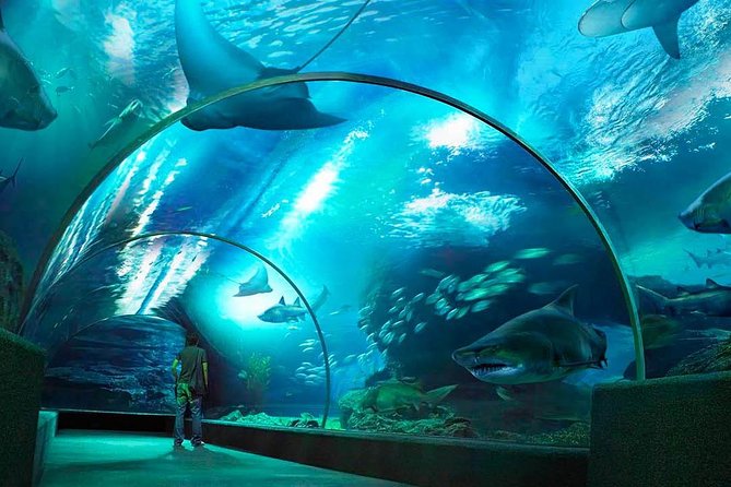One Way Transfer From Bangkok Hotel To Bangkok Airport Enroute Sealife and Madame Tussauds 